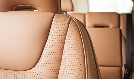 Tan Leather Upholstery
